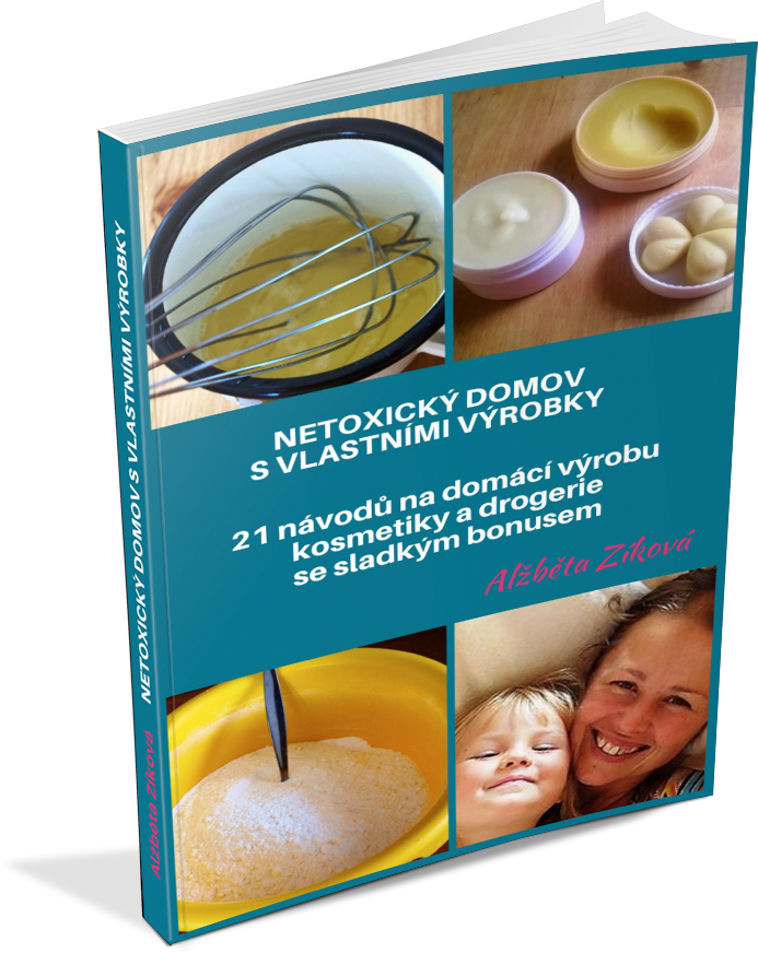 e-book netoxicky domov